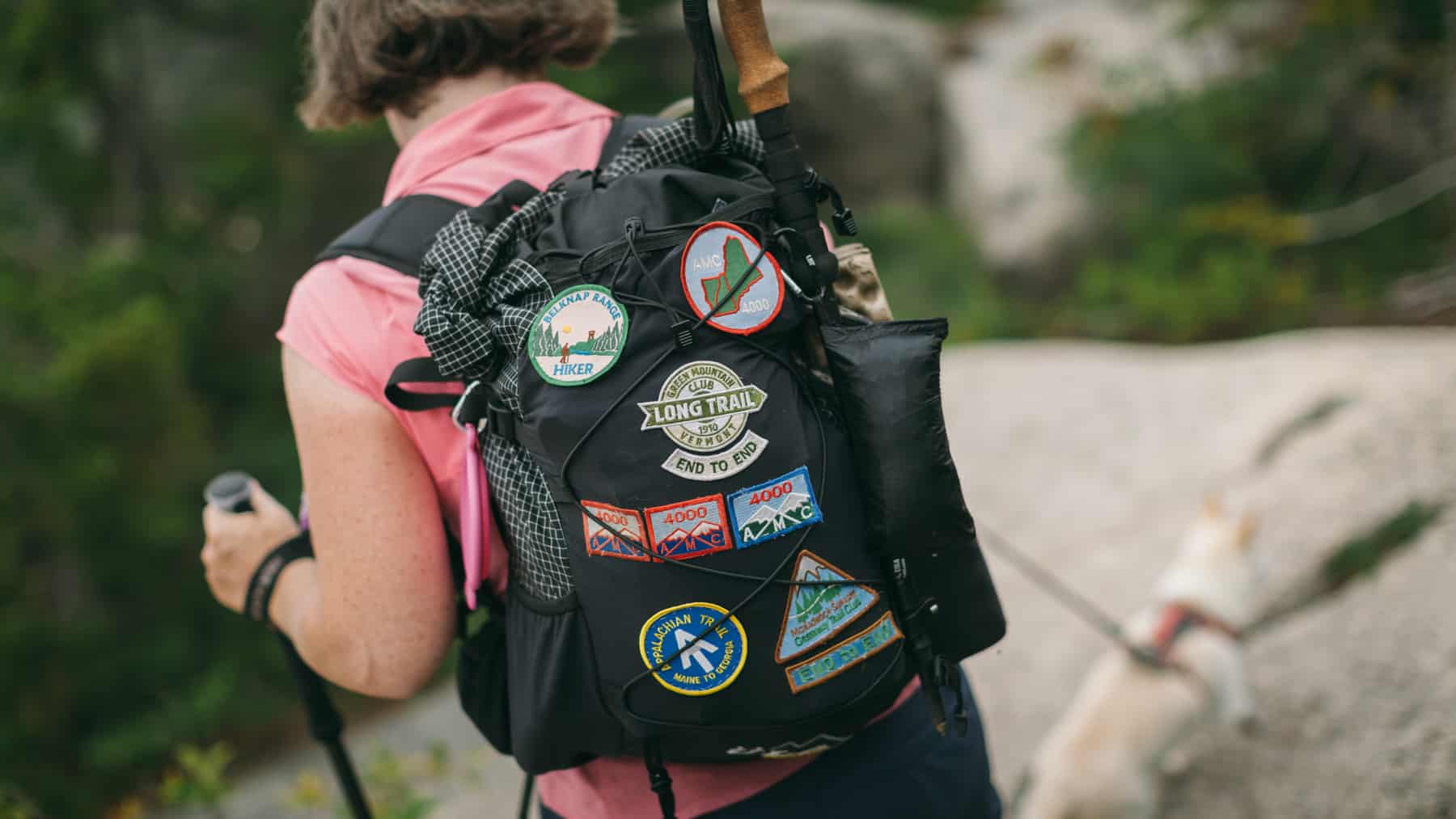 A hikers backpack on the top of Hedgehog Mountain