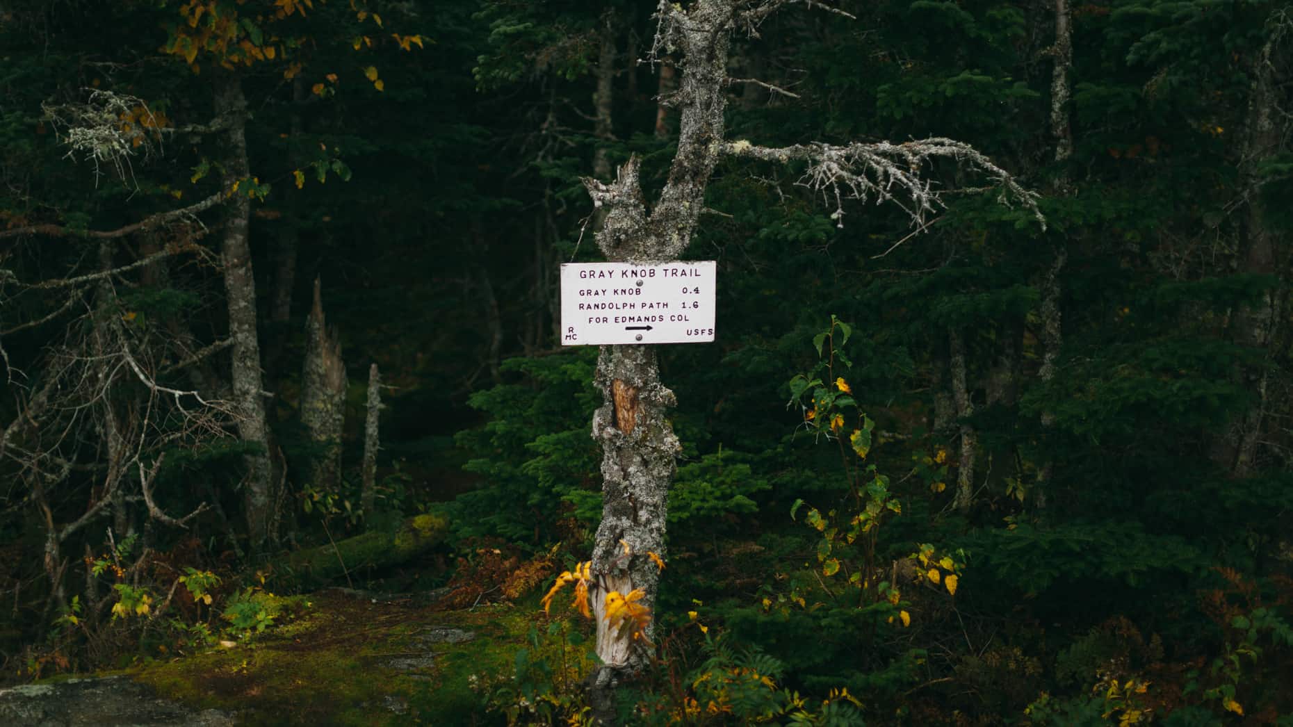 Gray Knob Trail sign